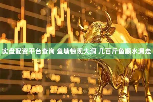 实盘配资平台查询 鱼塘惊现大洞 几百斤鱼顺水漏走