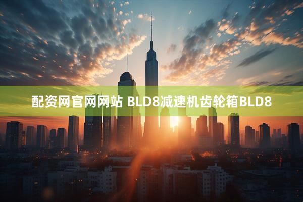 配资网官网网站 BLD8减速机齿轮箱BLD8