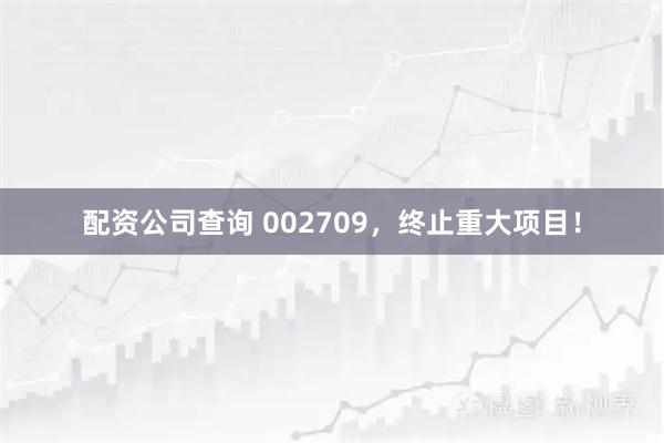 配资公司查询 002709，终止重大项目！